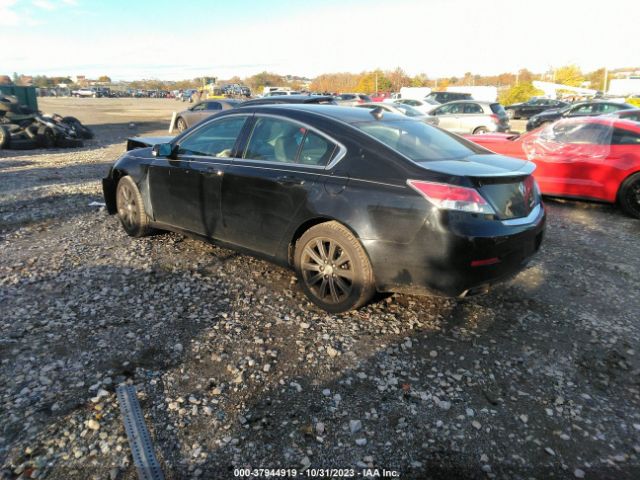 Photo 2 VIN: 19UUA8F30DA018126 - ACURA TL 