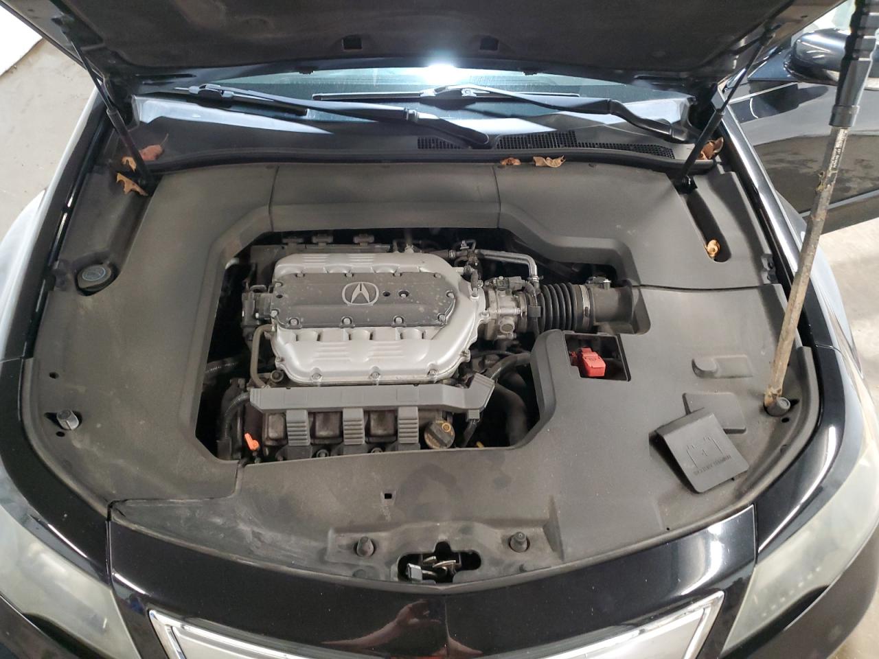 Photo 10 VIN: 19UUA8F31EA000395 - ACURA TL 