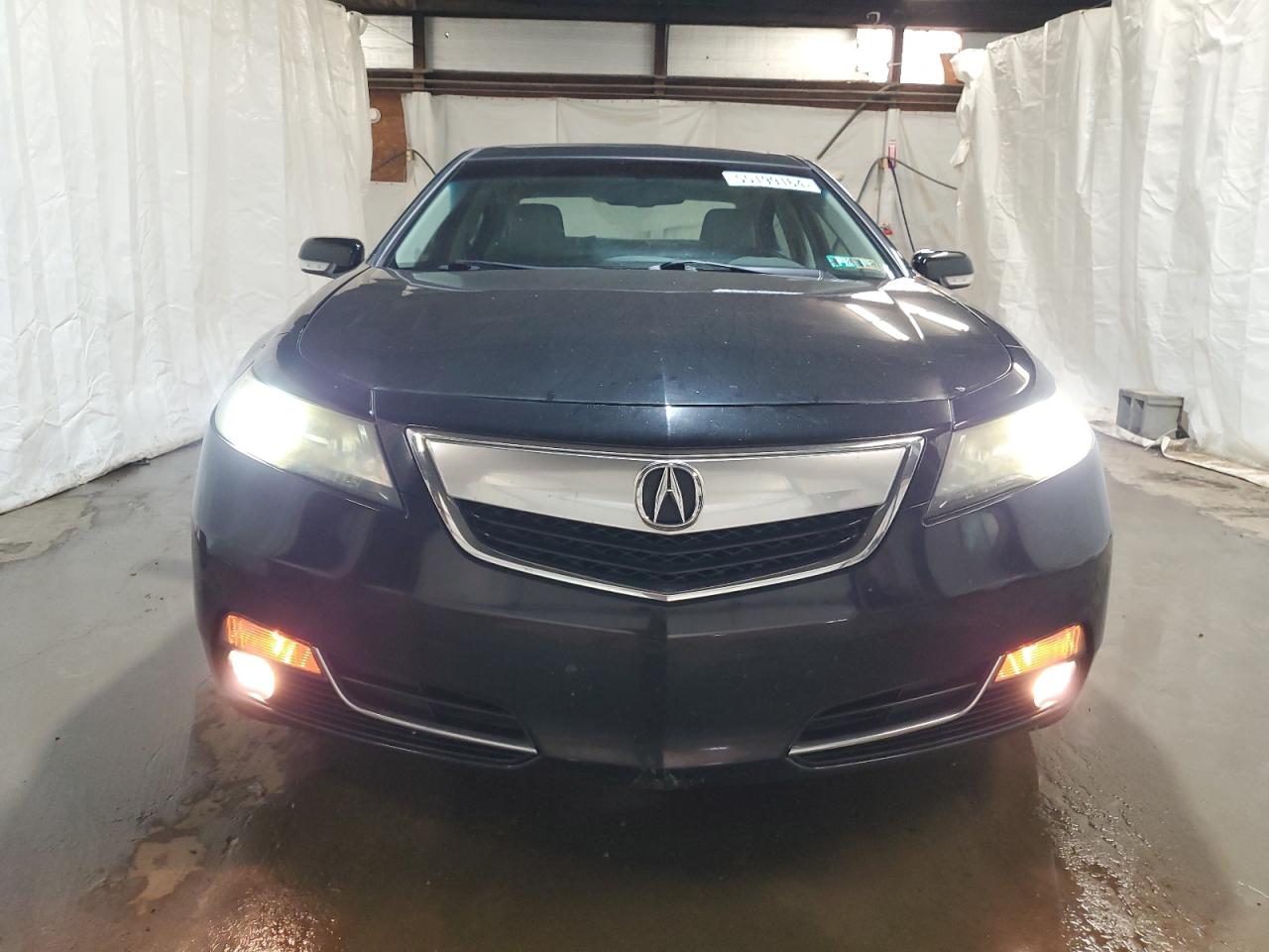 Photo 4 VIN: 19UUA8F31EA000395 - ACURA TL 