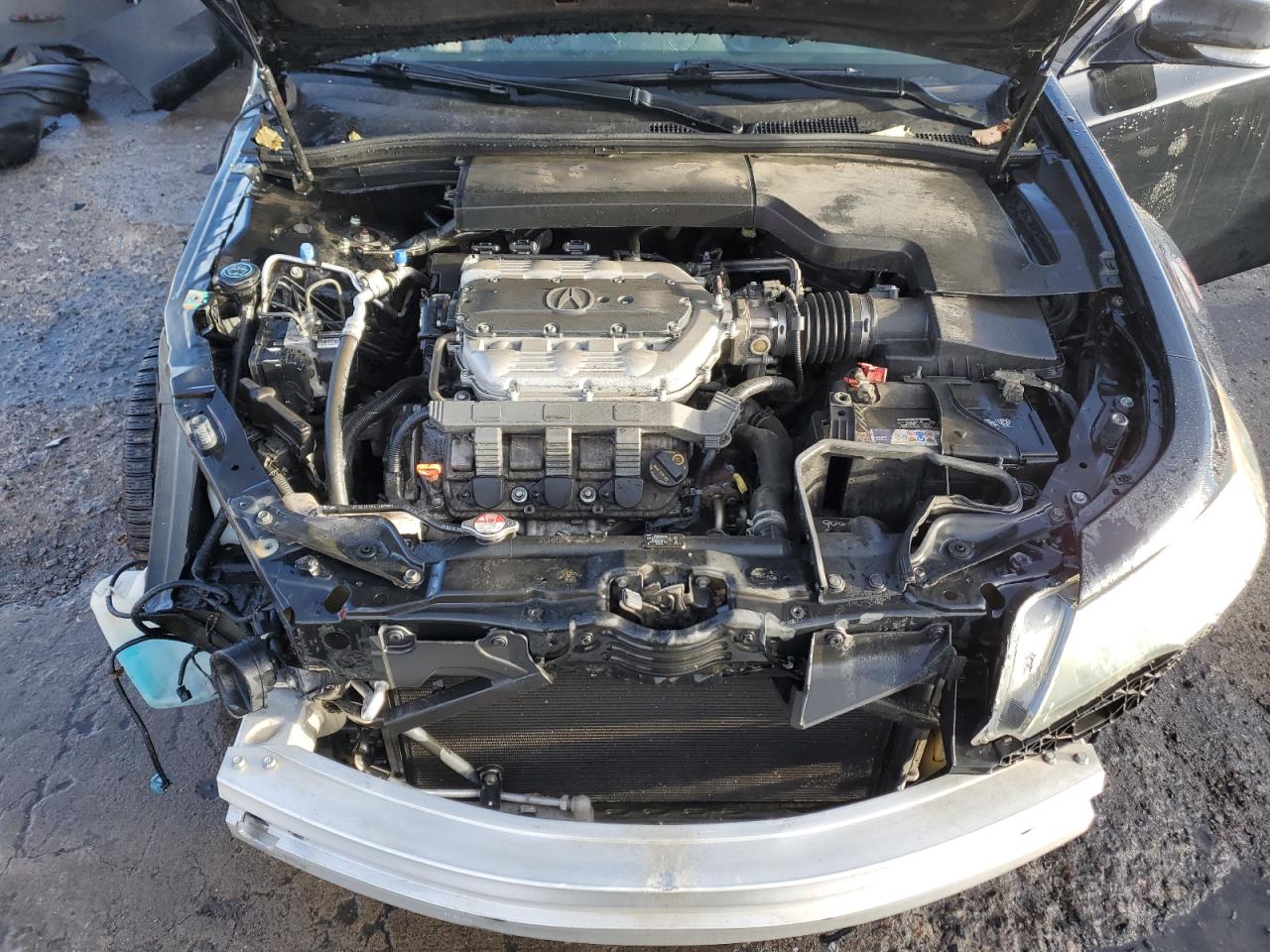 Photo 10 VIN: 19UUA8F31EA007833 - ACURA TL 