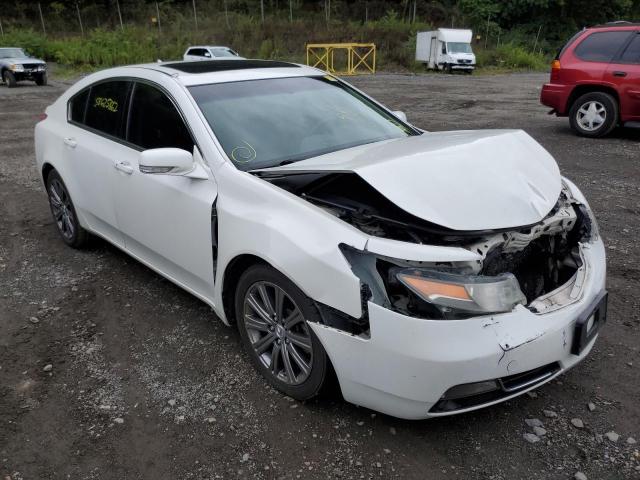 Photo 0 VIN: 19UUA8F33DA018301 - ACURA TL SE 