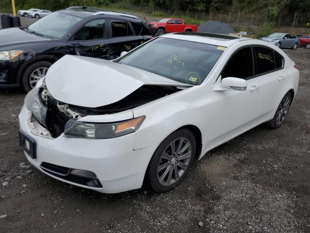 Photo 1 VIN: 19UUA8F33DA018301 - ACURA TL SE 