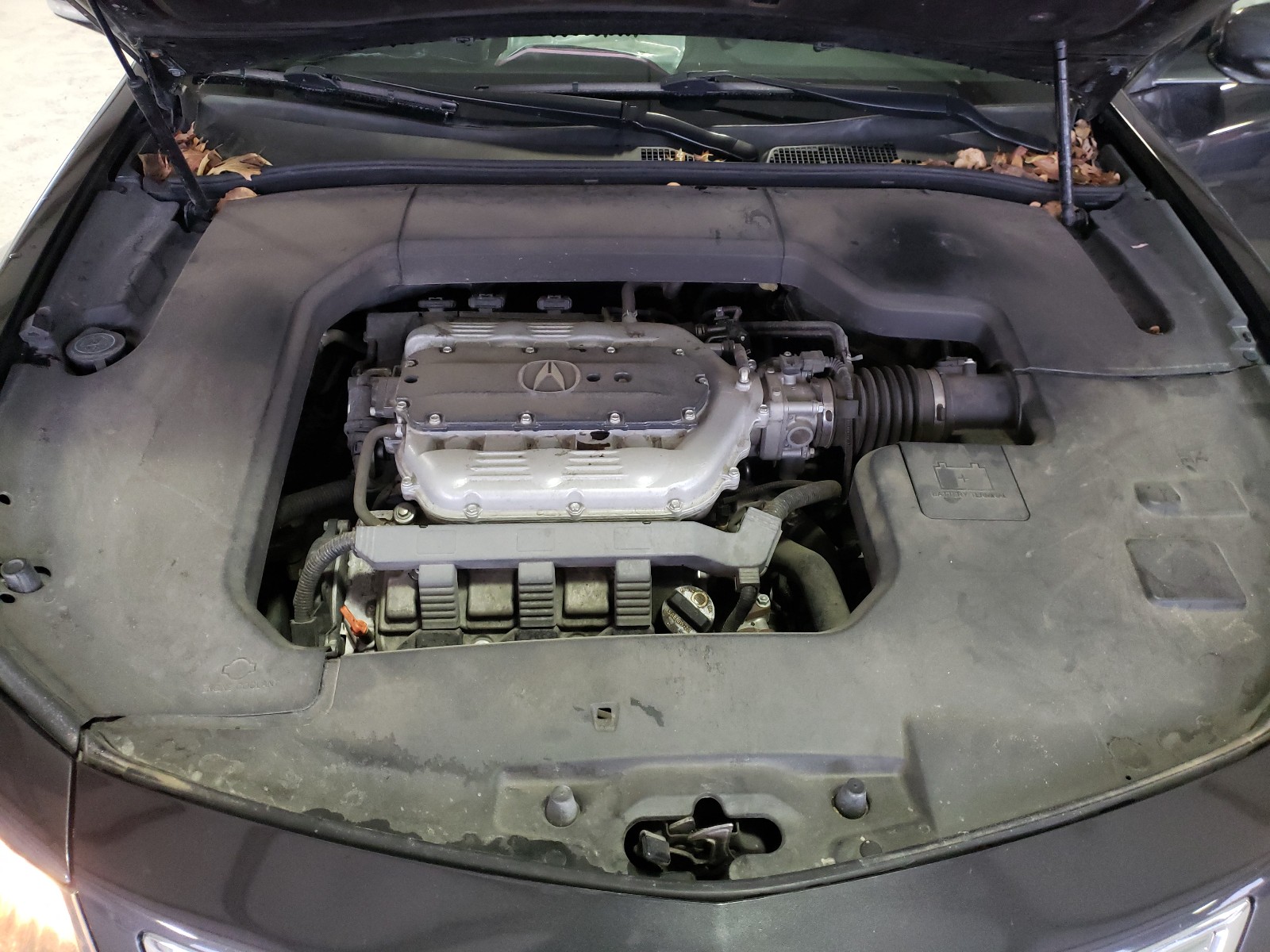 Photo 6 VIN: 19UUA8F34EA000987 - ACURA TL SE 