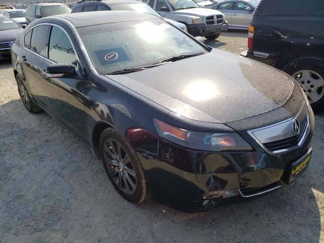 Photo 0 VIN: 19UUA8F35EA005678 - ACURA TL SE 