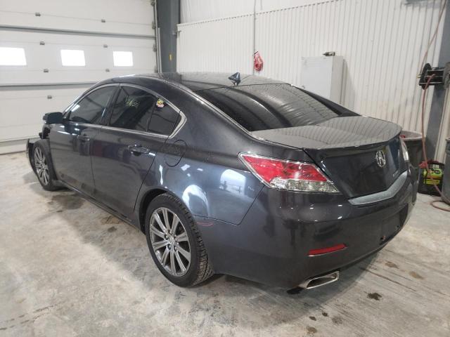 Photo 2 VIN: 19UUA8F36DA017806 - ACURA TL SE 