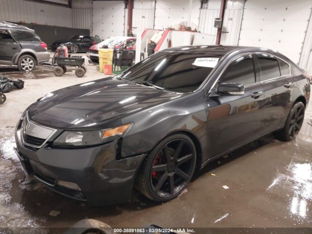 Photo 1 VIN: 19UUA8F36EA003891 - ACURA TL 