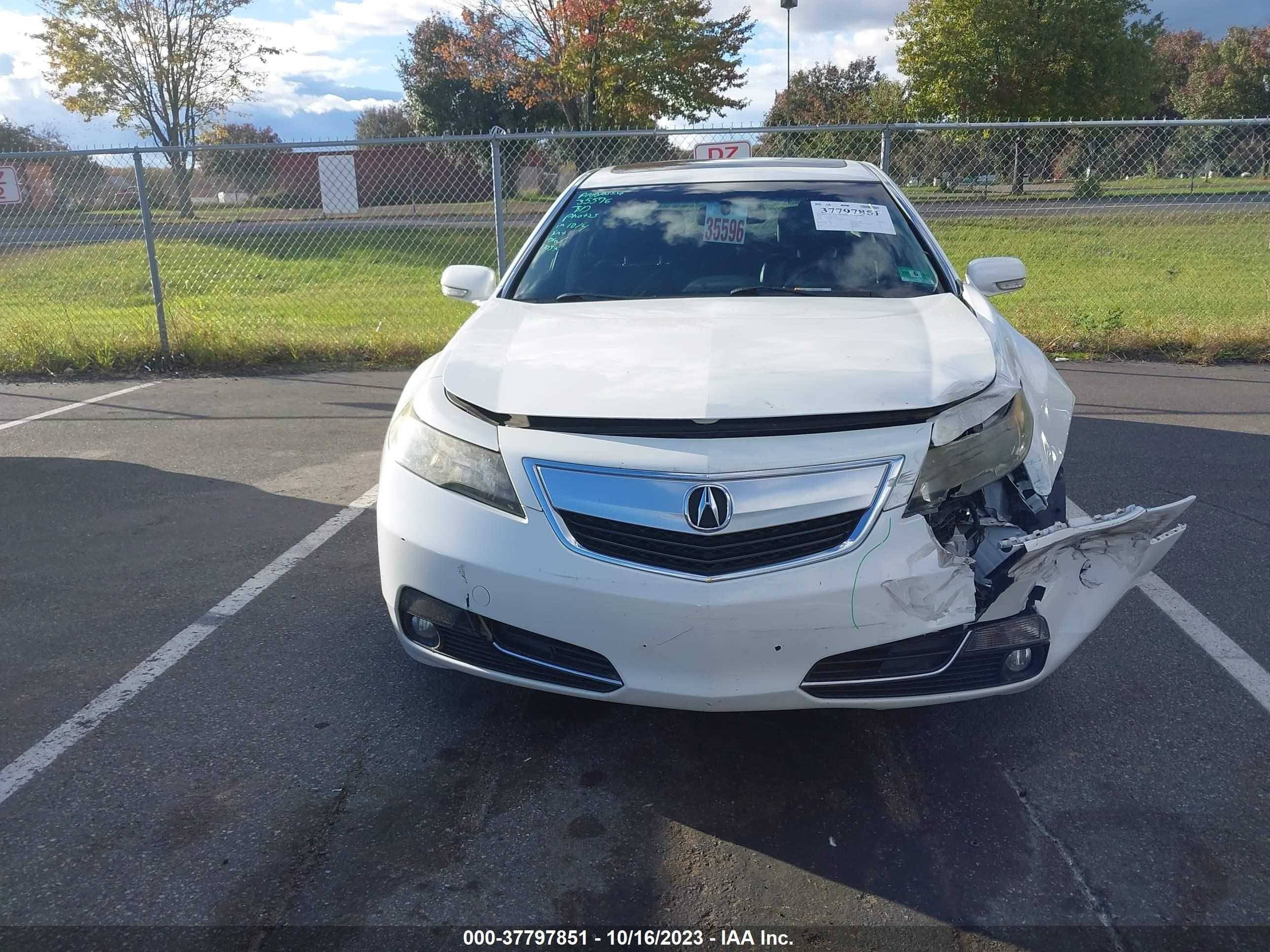 Photo 11 VIN: 19UUA8F38EA002189 - ACURA TL 