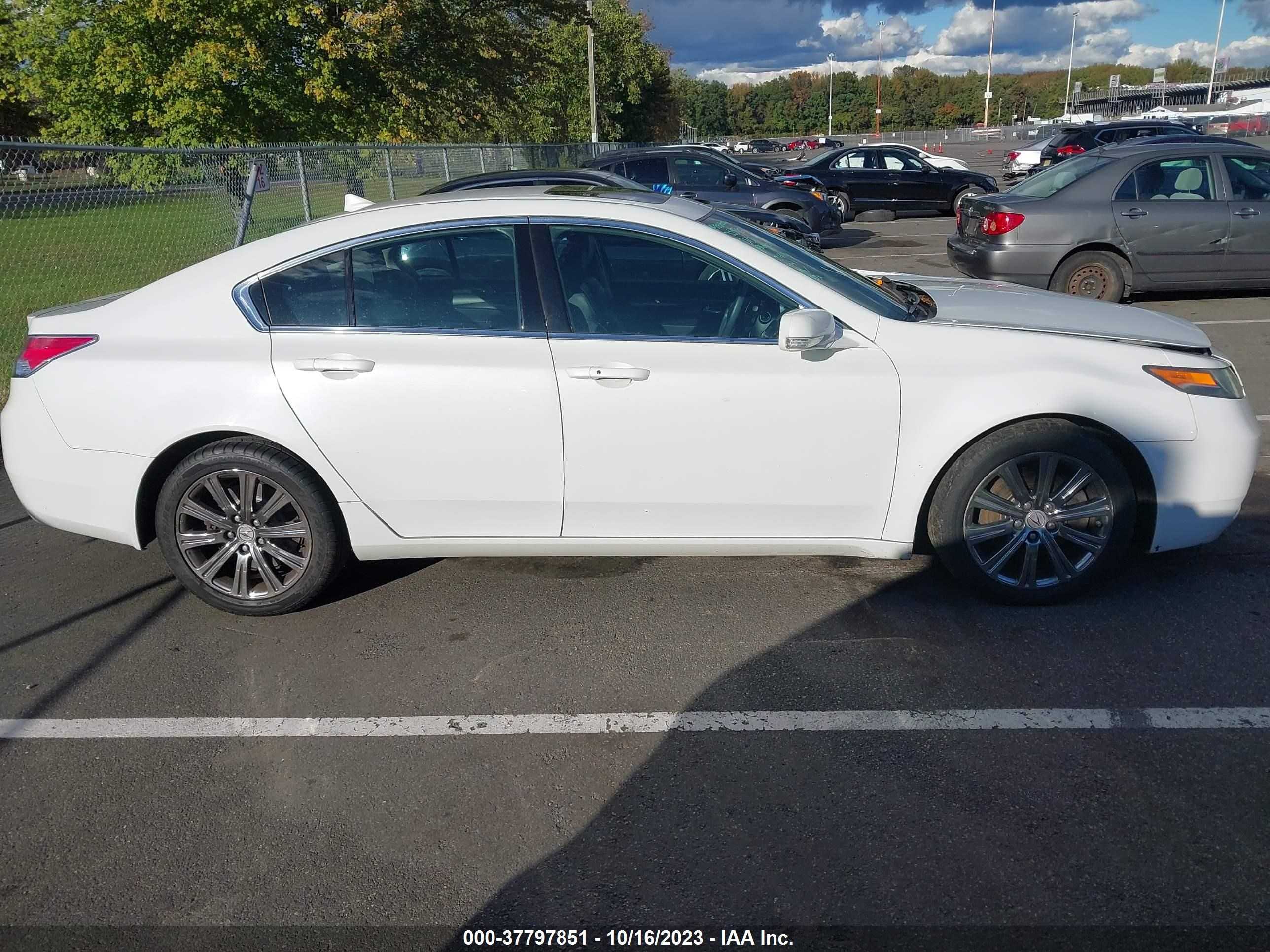 Photo 12 VIN: 19UUA8F38EA002189 - ACURA TL 