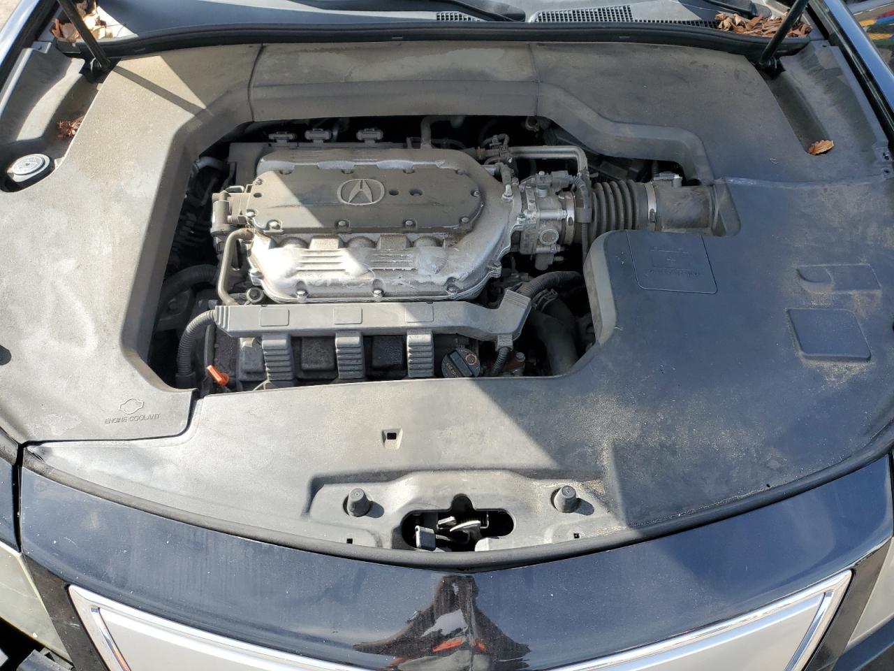 Photo 10 VIN: 19UUA8F50CA002217 - ACURA TL 