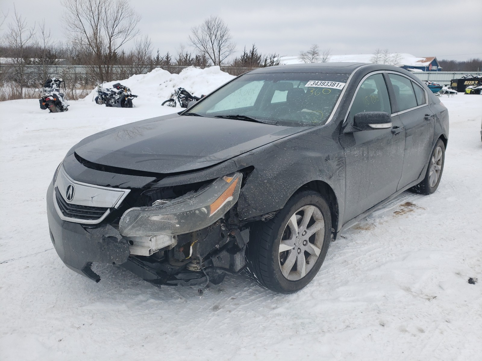 Photo 1 VIN: 19UUA8F50DA003496 - ACURA TL 