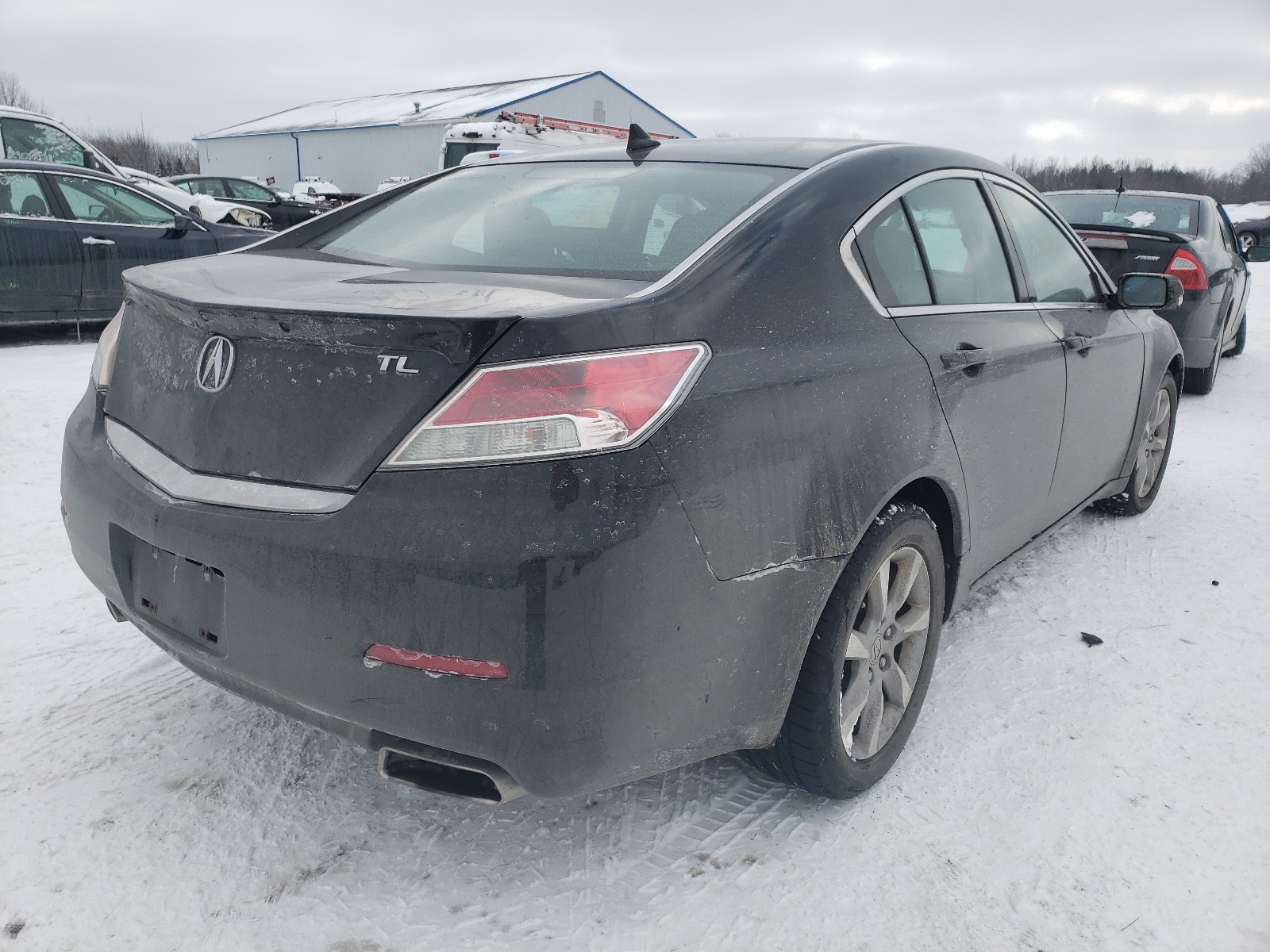 Photo 3 VIN: 19UUA8F50DA003496 - ACURA TL 