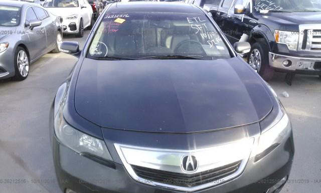 Photo 5 VIN: 19UUA8F50DA012036 - ACURA TL 