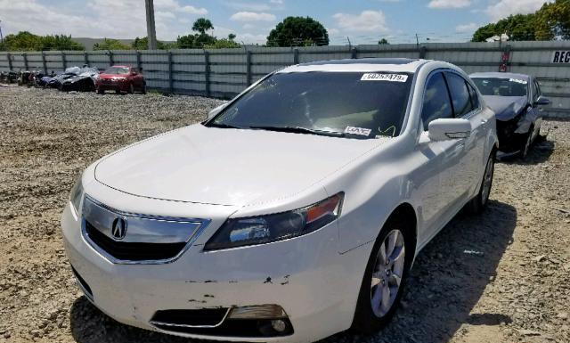 Photo 1 VIN: 19UUA8F50DA013140 - ACURA TL 