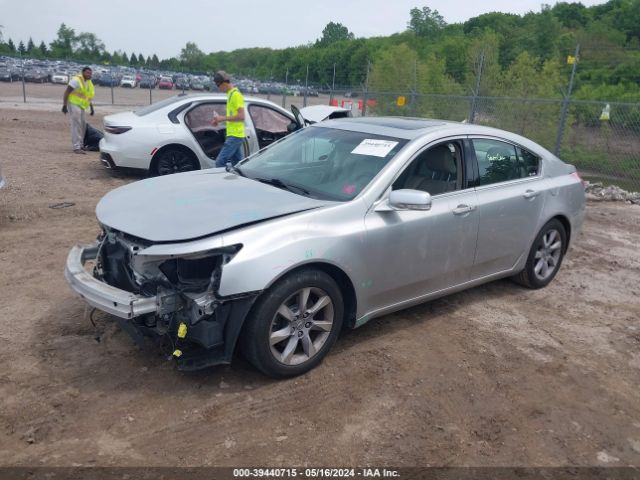 Photo 1 VIN: 19UUA8F50DA016099 - ACURA TL 