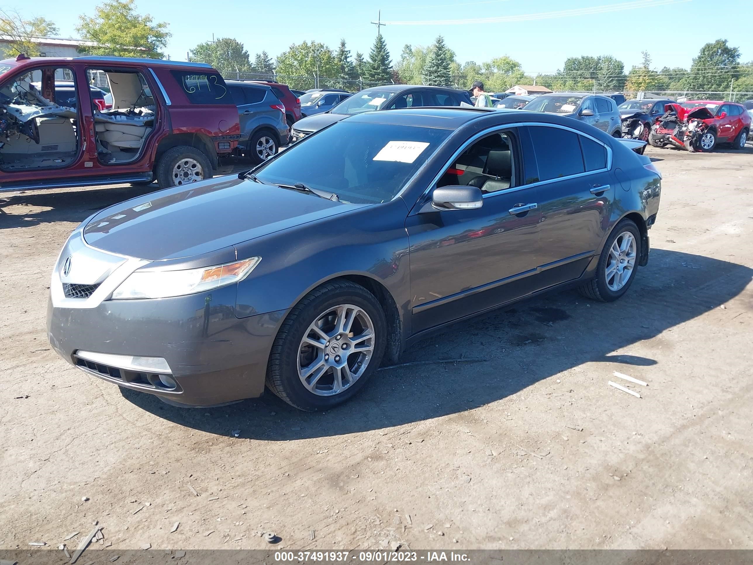 Photo 1 VIN: 19UUA8F51BA003987 - ACURA TL 