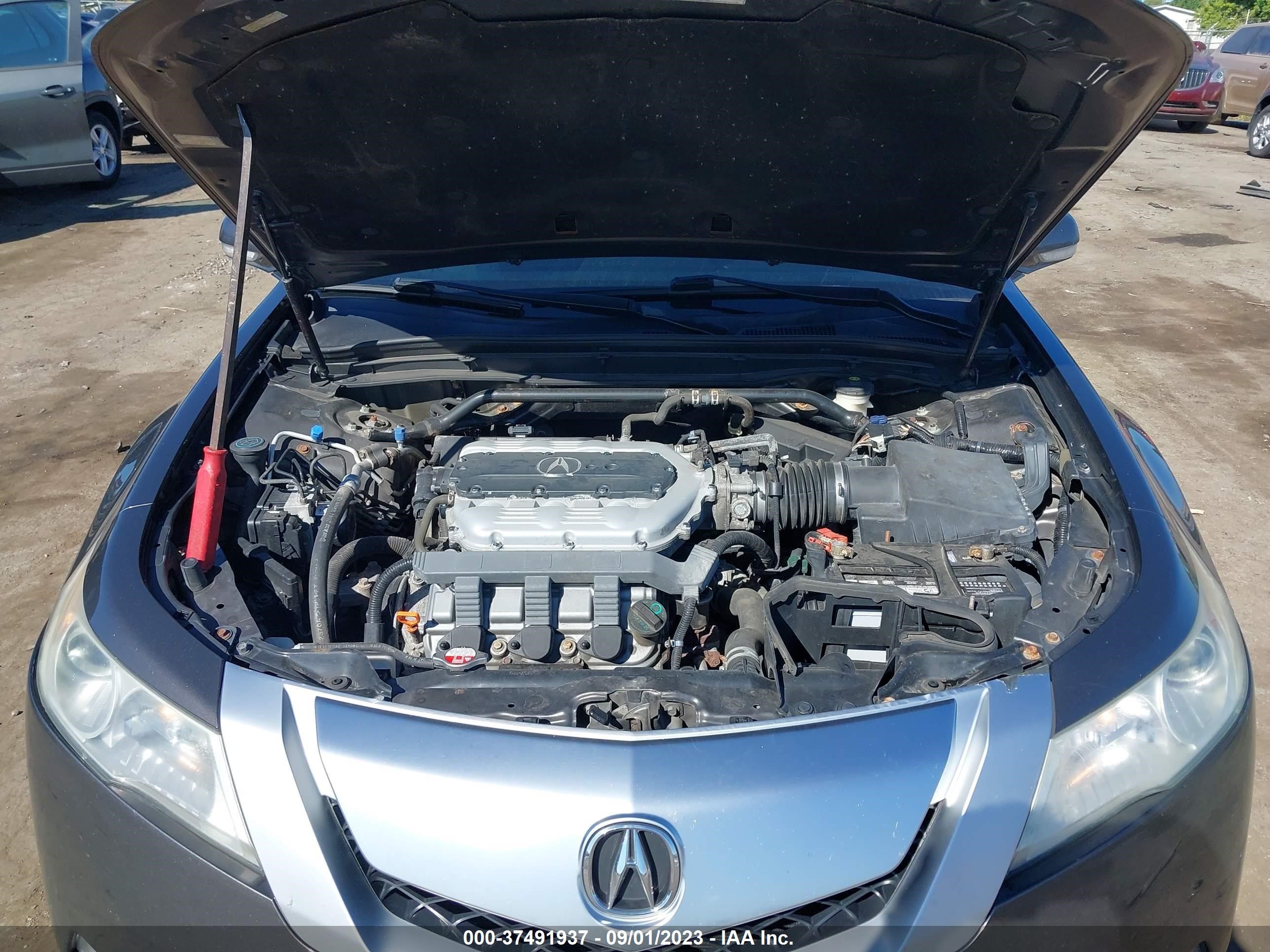 Photo 9 VIN: 19UUA8F51BA003987 - ACURA TL 