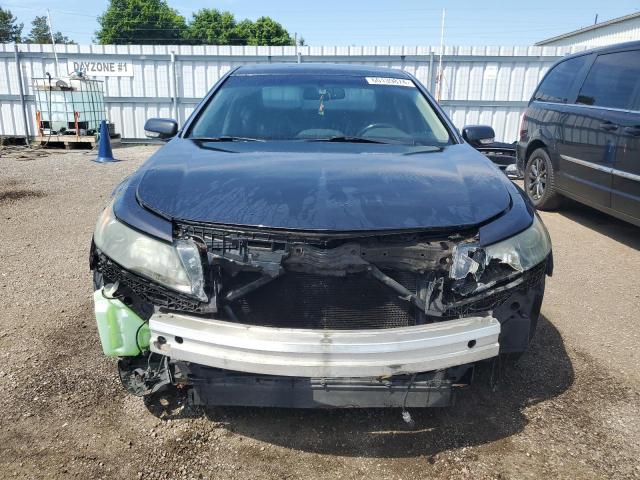 Photo 4 VIN: 19UUA8F51CA801441 - ACURA TL 