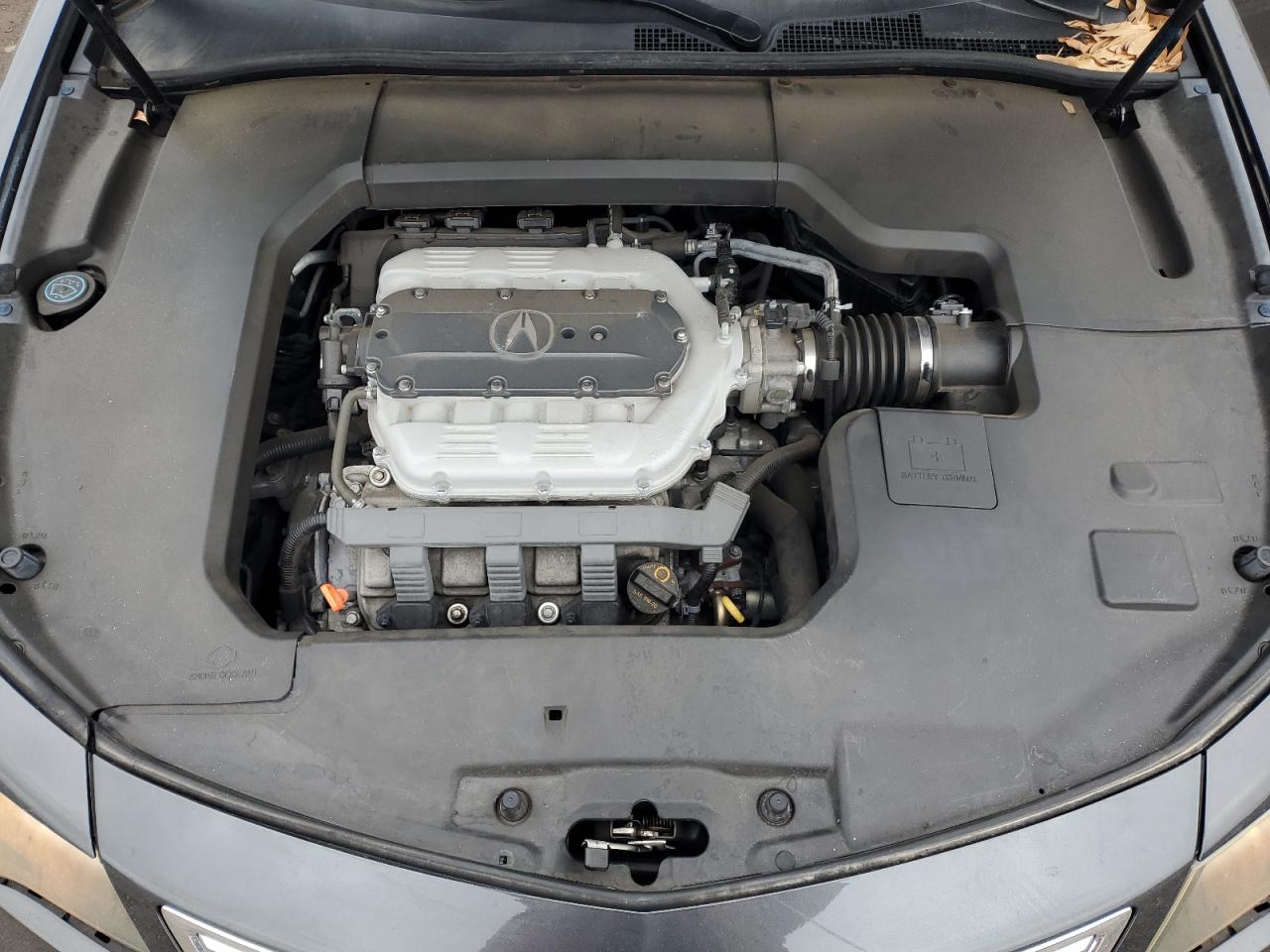 Photo 10 VIN: 19UUA8F51DA000770 - ACURA TL 