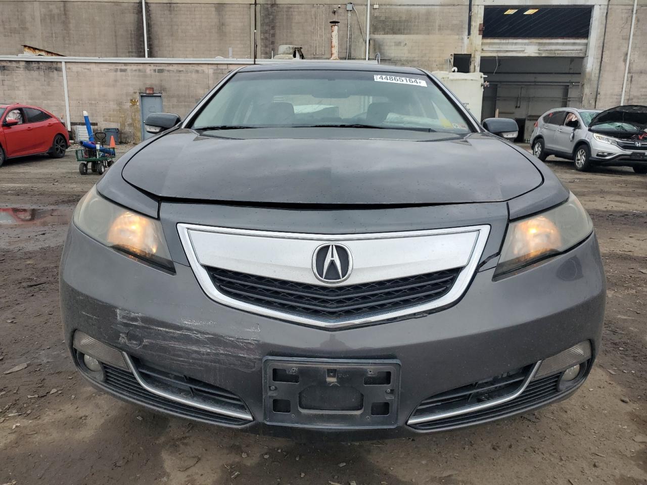 Photo 4 VIN: 19UUA8F51DA000770 - ACURA TL 