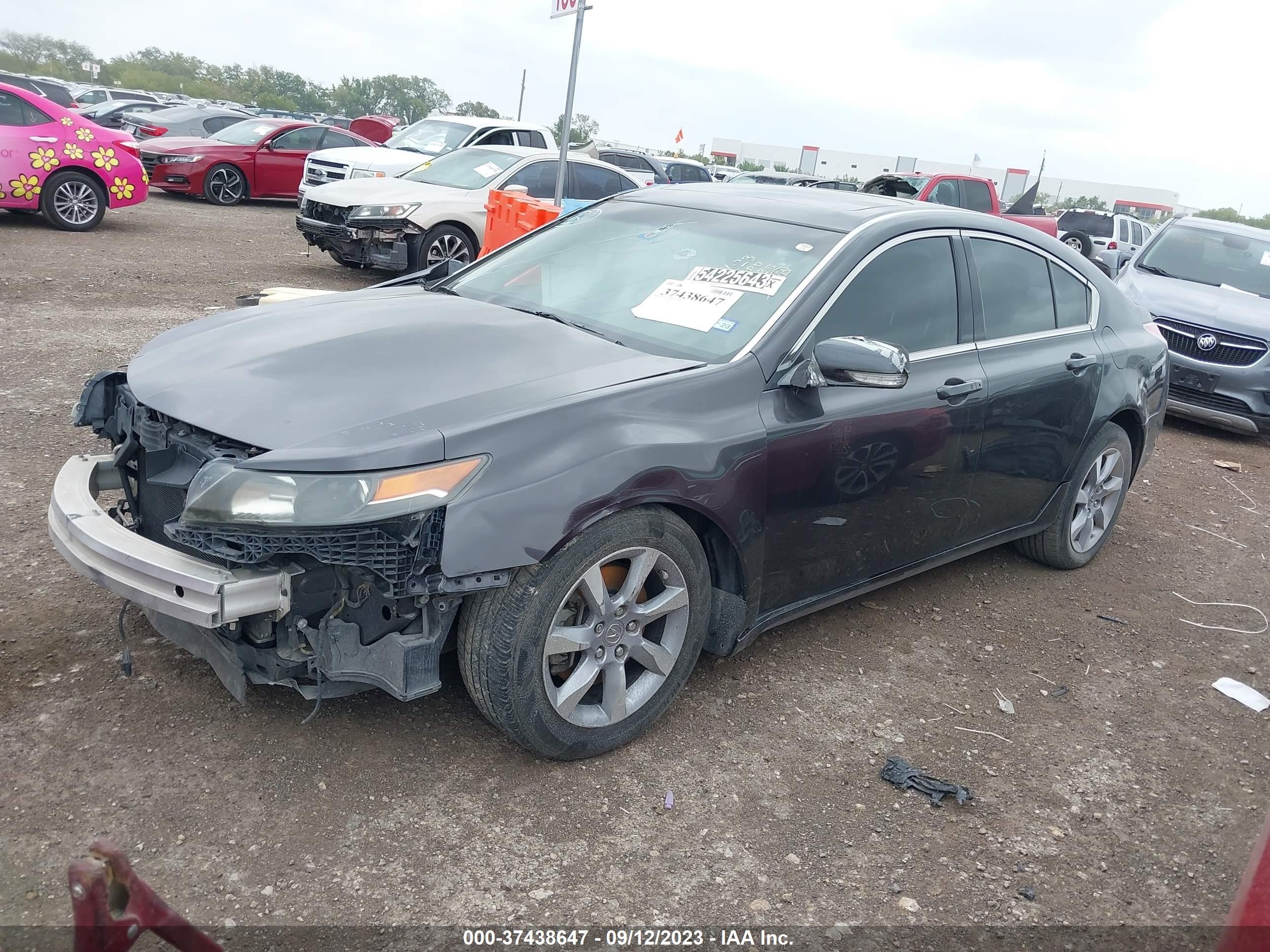 Photo 1 VIN: 19UUA8F51DA001708 - ACURA TL 