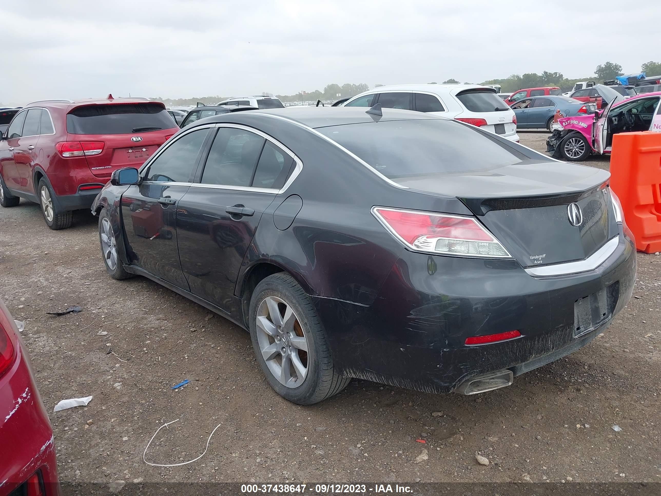 Photo 2 VIN: 19UUA8F51DA001708 - ACURA TL 