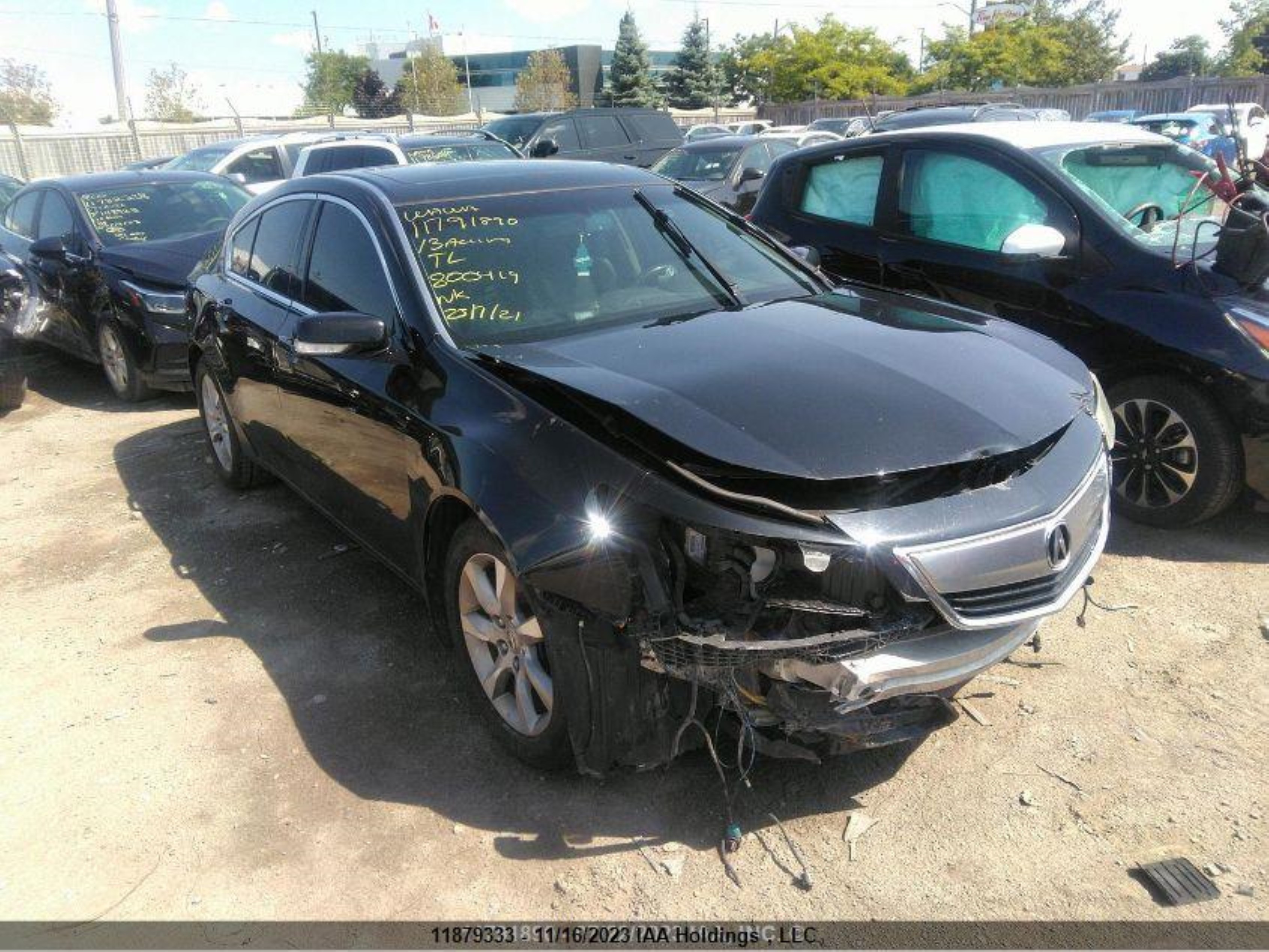 Photo 0 VIN: 19UUA8F51DA800419 - ACURA TL 