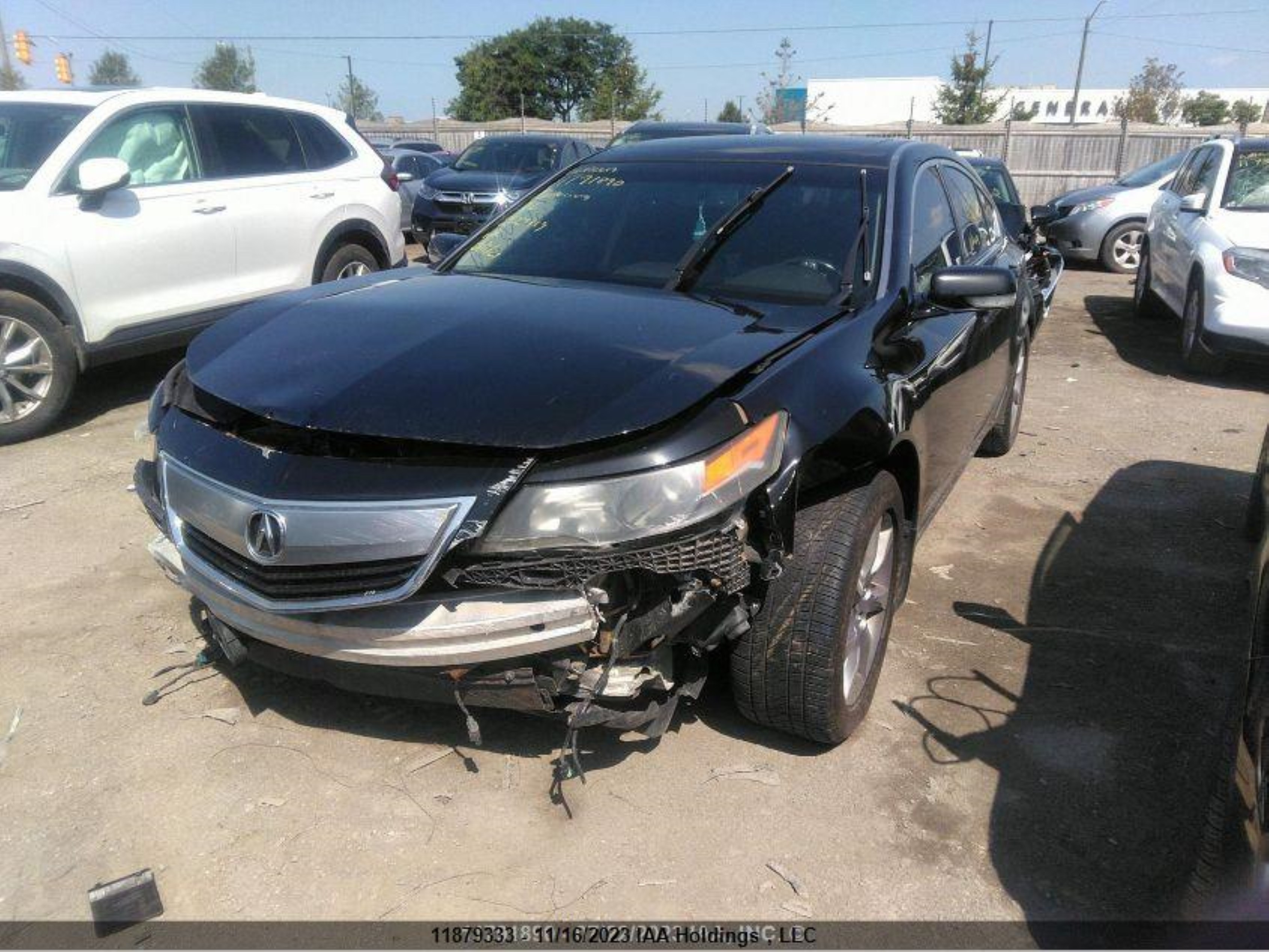 Photo 1 VIN: 19UUA8F51DA800419 - ACURA TL 