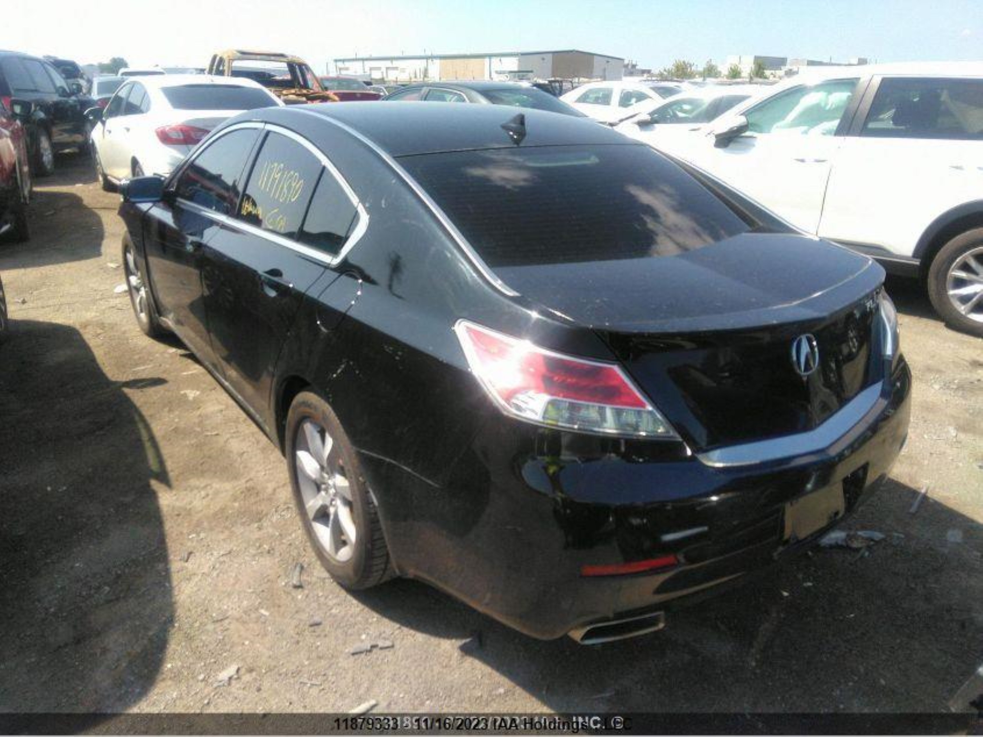 Photo 2 VIN: 19UUA8F51DA800419 - ACURA TL 