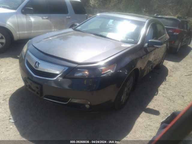 Photo 1 VIN: 19UUA8F51EA004349 - ACURA TL 