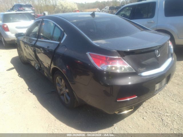 Photo 2 VIN: 19UUA8F51EA004349 - ACURA TL 