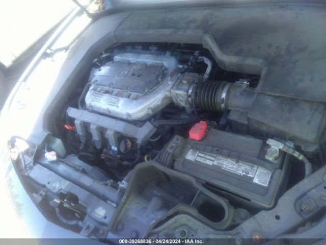 Photo 9 VIN: 19UUA8F51EA004349 - ACURA TL 