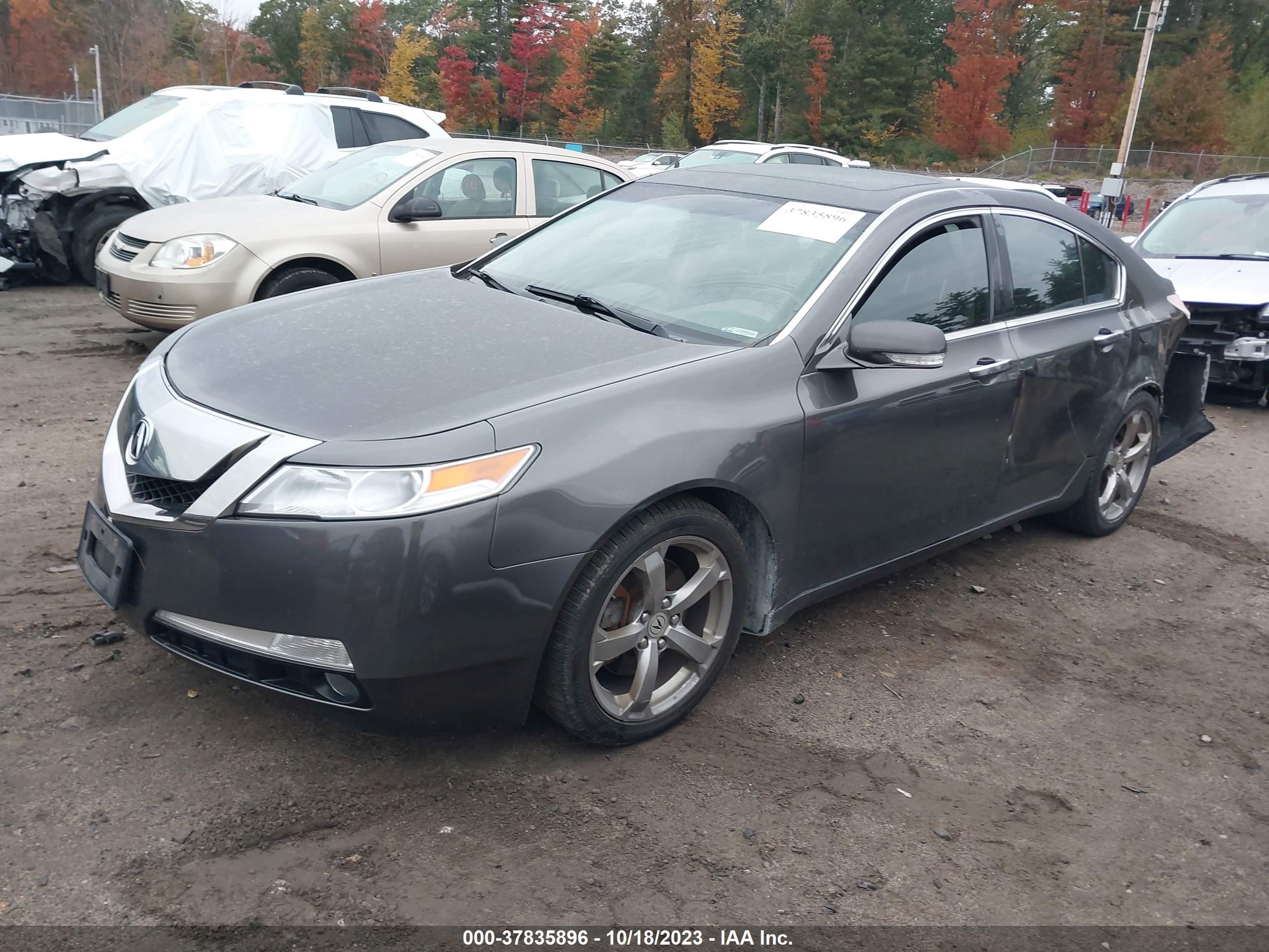 Photo 1 VIN: 19UUA8F52AA007593 - ACURA TL 