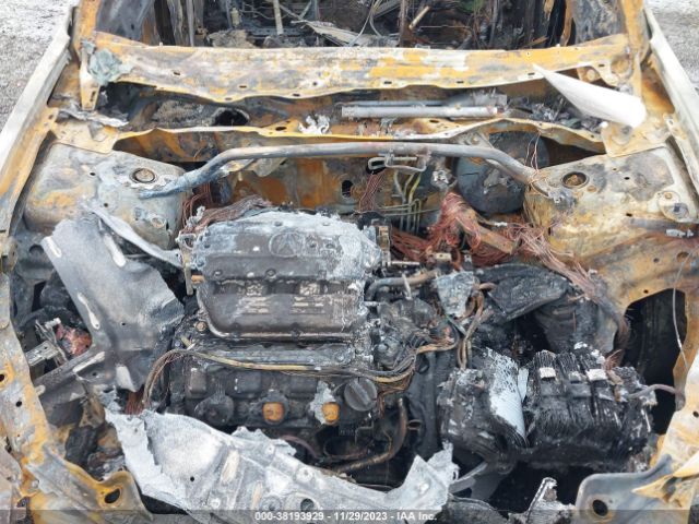 Photo 9 VIN: 19UUA8F52AA016942 - ACURA TL 