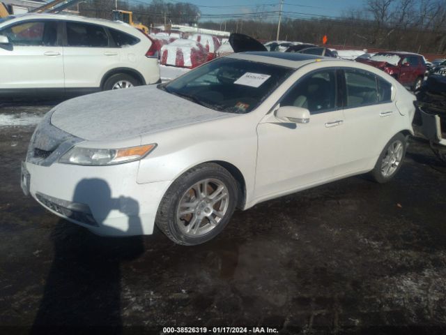 Photo 1 VIN: 19UUA8F52BA002024 - ACURA TL 