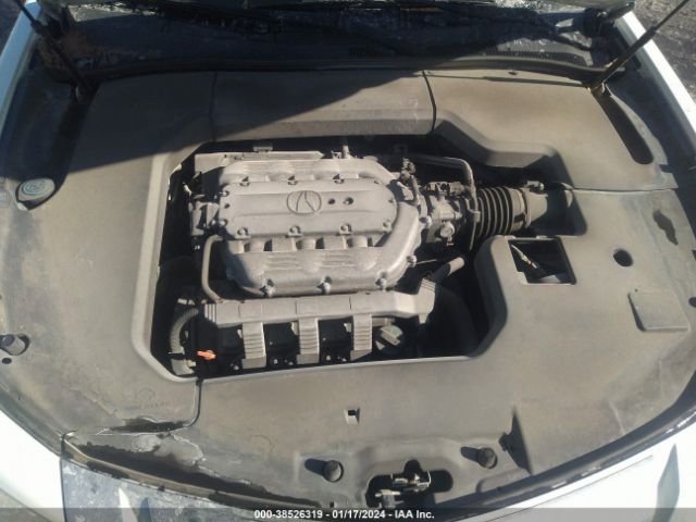 Photo 9 VIN: 19UUA8F52BA002024 - ACURA TL 