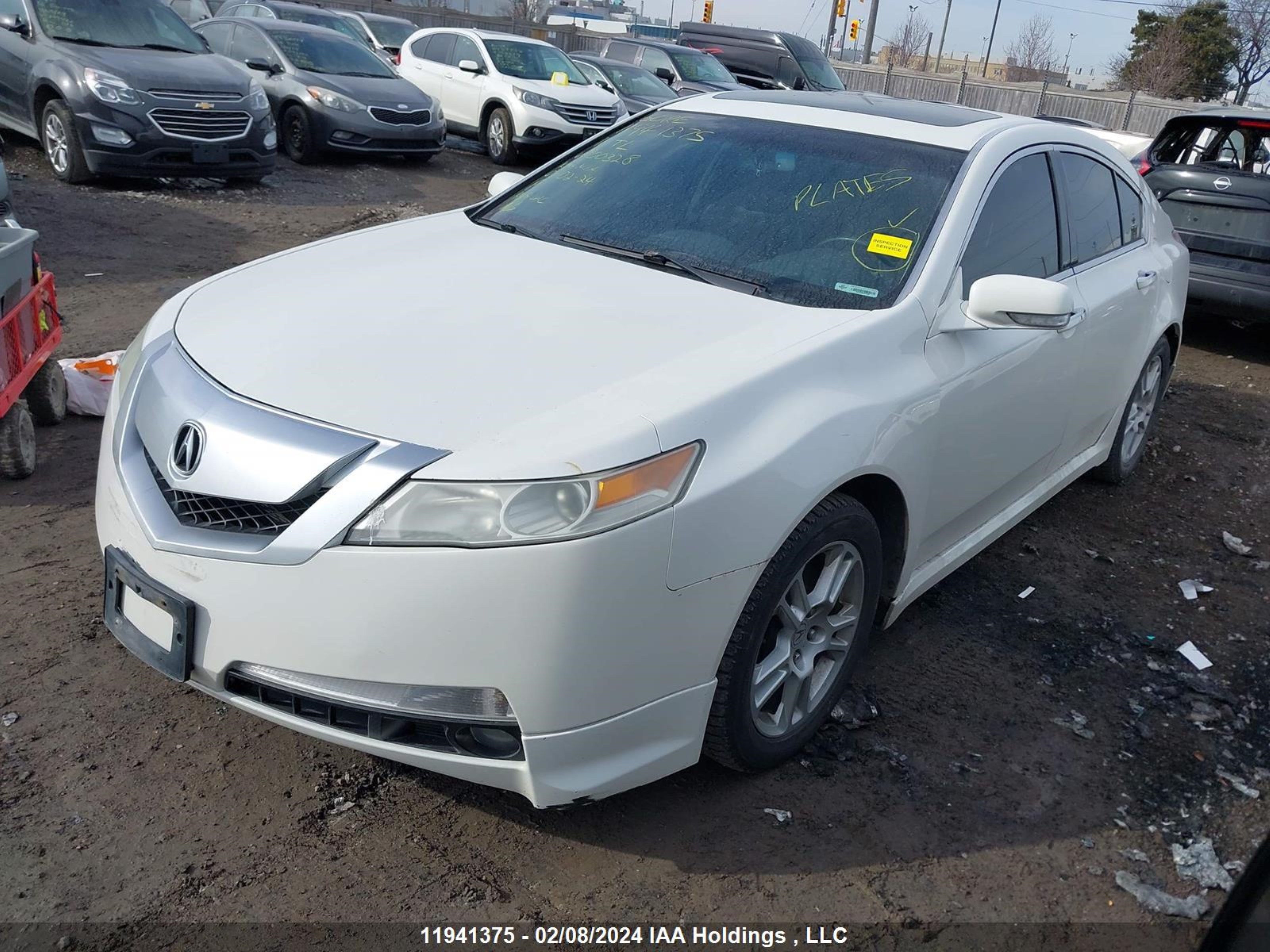 Photo 1 VIN: 19UUA8F52BA800328 - ACURA TL 