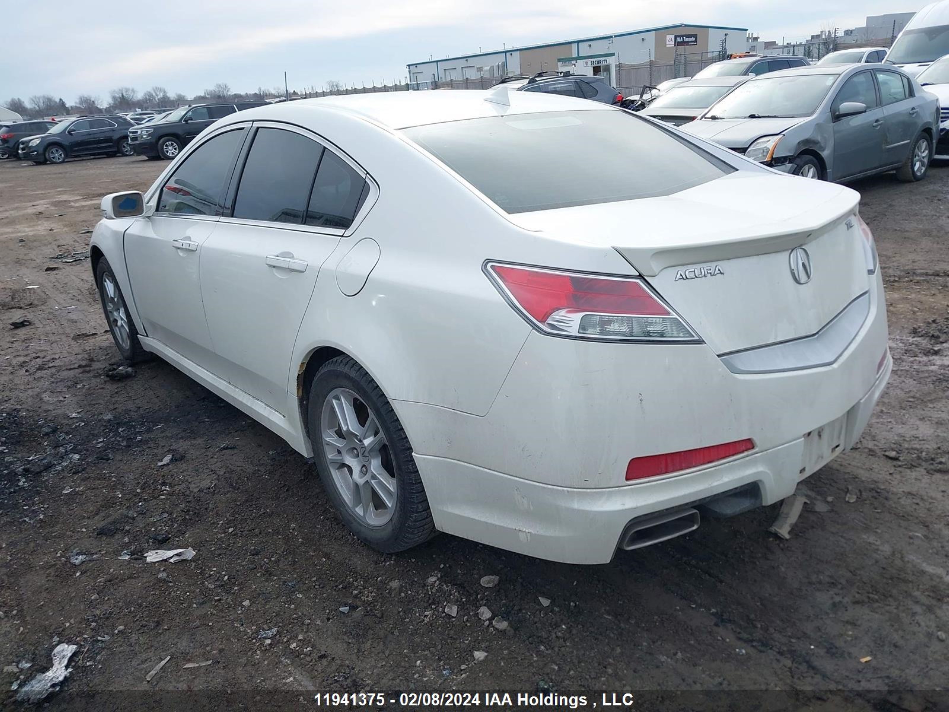 Photo 2 VIN: 19UUA8F52BA800328 - ACURA TL 