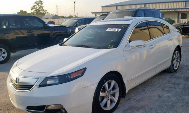 Photo 1 VIN: 19UUA8F52DA000034 - ACURA TL 