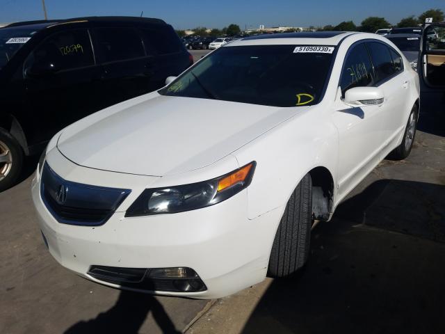 Photo 1 VIN: 19UUA8F52DA000034 - ACURA TL 