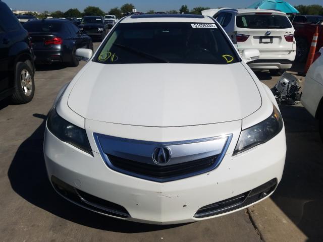 Photo 8 VIN: 19UUA8F52DA000034 - ACURA TL 