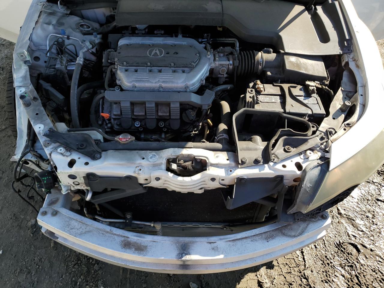 Photo 10 VIN: 19UUA8F52DA004620 - ACURA TL 