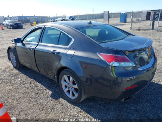 Photo 2 VIN: 19UUA8F52DA004746 - ACURA TL 