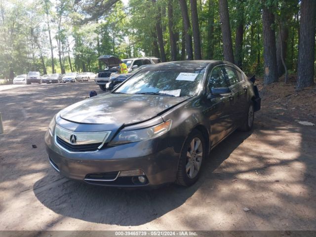 Photo 1 VIN: 19UUA8F52DA012040 - ACURA TL 