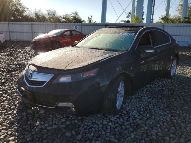 Photo 1 VIN: 19UUA8F52DA013933 - ACURA TL TECH 