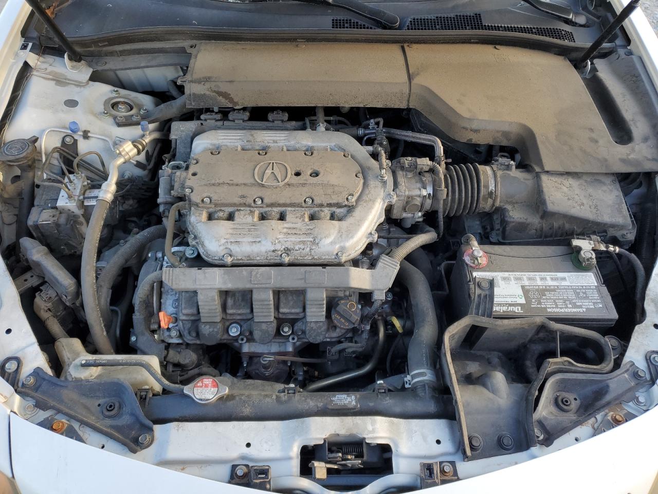 Photo 10 VIN: 19UUA8F52EA006983 - ACURA TL 