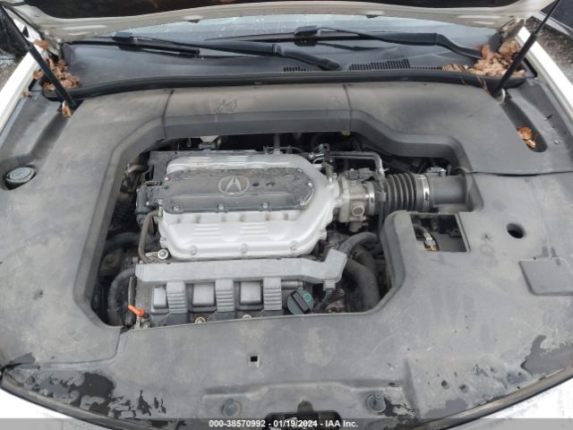 Photo 9 VIN: 19UUA8F53BA000430 - ACURA TL 