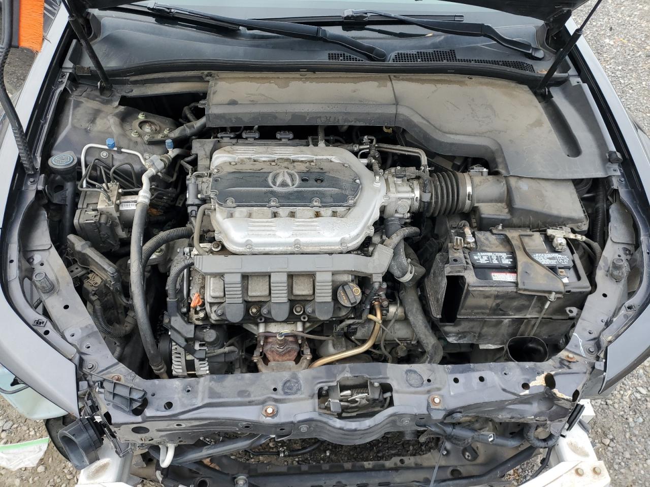 Photo 10 VIN: 19UUA8F53CA018072 - ACURA TL 