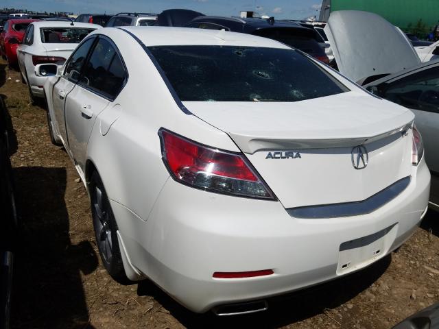 Photo 2 VIN: 19UUA8F53CA801487 - ACURA TL 