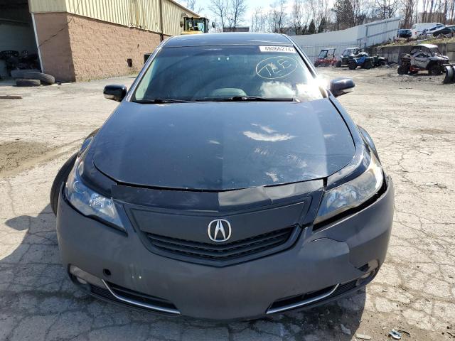 Photo 4 VIN: 19UUA8F53DA010586 - ACURA TL 