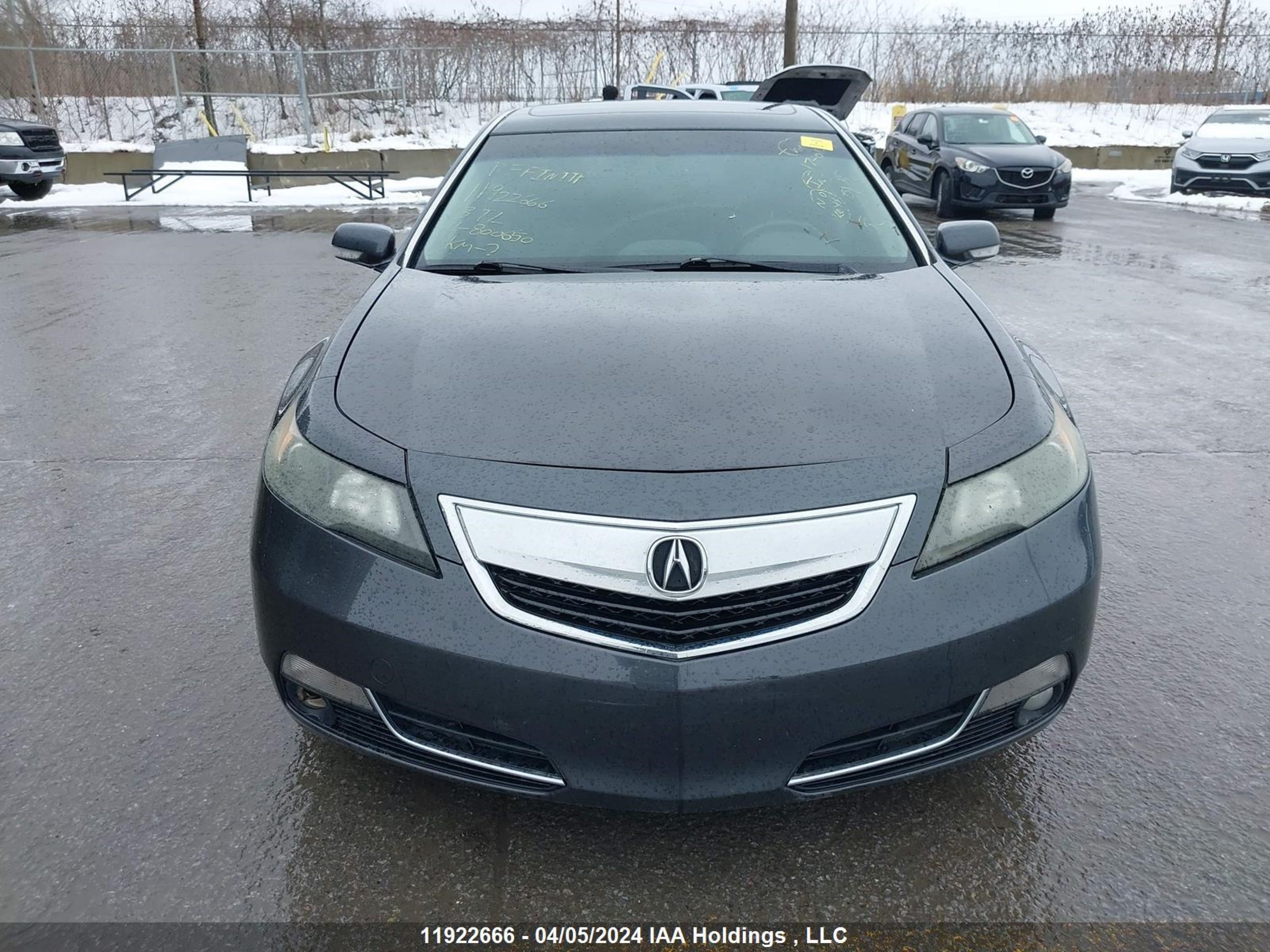 Photo 12 VIN: 19UUA8F53DA800650 - ACURA TL 